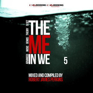 Cover: Robert James Perkins - The ME in WE 5