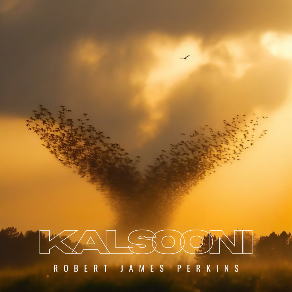 Cover: Kalsooni